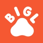 bigl android application logo